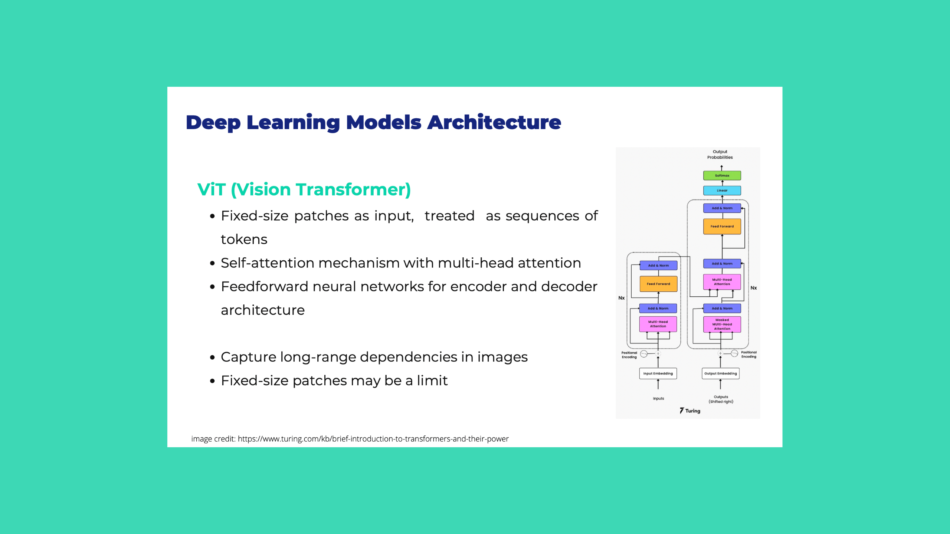 Vision Transformer Architecture