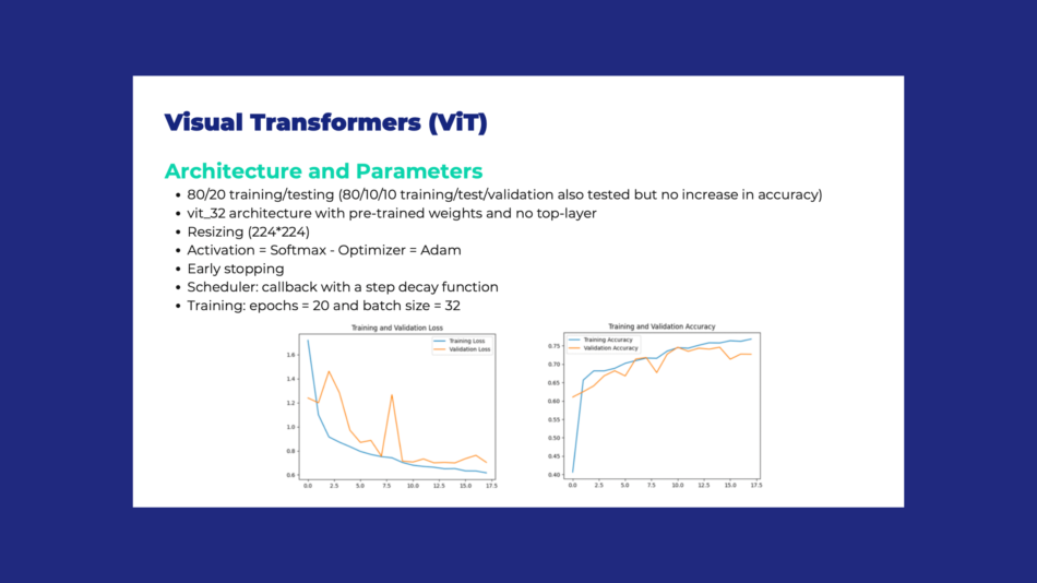 Visual Transformers Parameters and Results